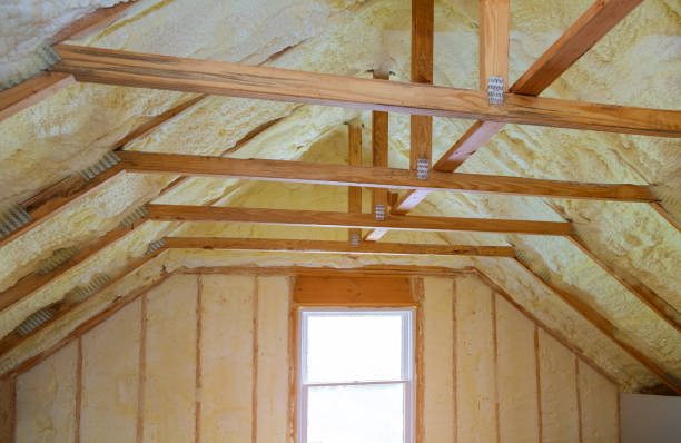 Best Insulation Maintenance and Repair in Riverside, MD