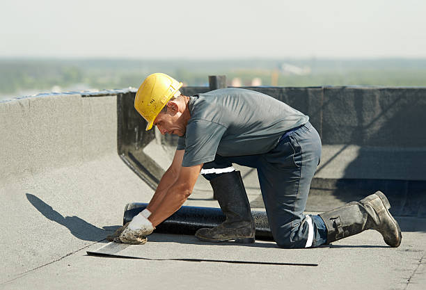 Best Commercial Insulation in Riverside, MD